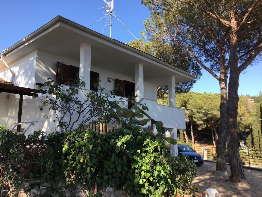 Villa Barabarca Capoliveri  Exterior photo